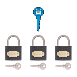 P1C30 - Iron Keyed Alike